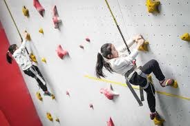 在今日惨败都灵并跌落榜末之后，维罗纳足球俱乐部似乎倾向于继续由保罗·扎内蒂执掌帅印。球队可能采取封闭集训以全力备战周三与那不勒斯的对决。 来源：著名记者斯基拉