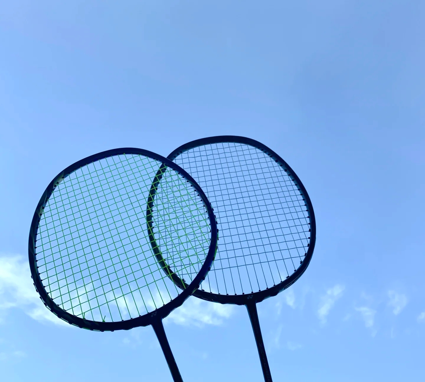 他们会带来 他们会带来